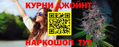 индика Ефремов