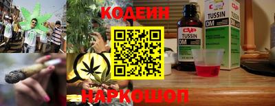 индика Ефремов