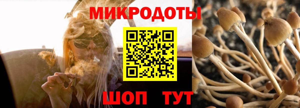 Галлюциногенные грибы прущие грибы  Вход с VPN  Псилоцибиновые грибы ЛСД  Амурск 